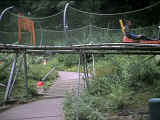 herbsttreffen02_154.jpg (127669 Byte)