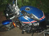 Im000758.jpg (167943 Byte)