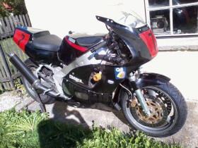 FZR Rennverkleidung