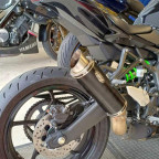 ZX-4RR 2026 mit Shark Factory Line