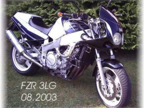 meine Dicke 2003