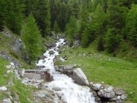 2008_benzinpässe067