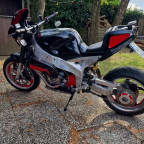 FZR Feigta