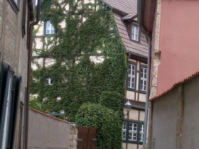 IMGP0861
