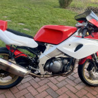 Schon mal ein bisschen Farbe drauf 😀