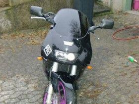 fzr 1000