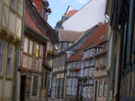 IMGP0864