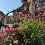 Colmar