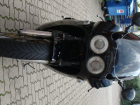 Meine Alte