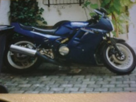 motorad 030.jpg