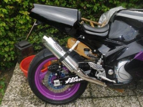 FZR 1000 3LE