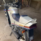 Projekt Saison 21
