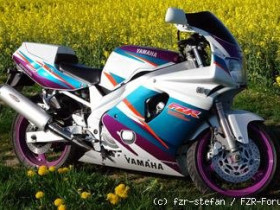 FZR 600R