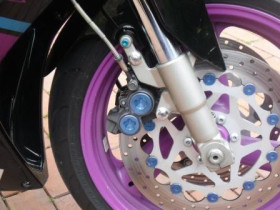 FZR 1000 3LE/06.2012