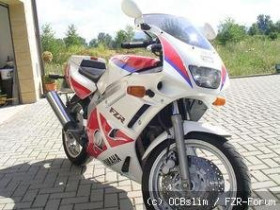 FZR600