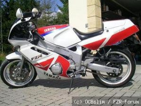 FZR600