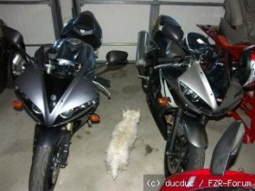R1