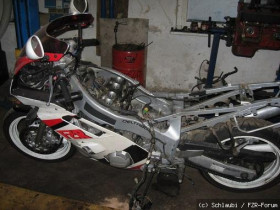neu052