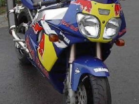 red bull