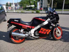 FZR 1000 1.jpg