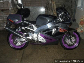 neue ypse