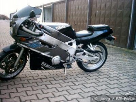 fzr 400