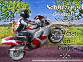 ich find`s lustig :)  FZR1000 3LE