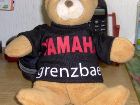 grenzbaer