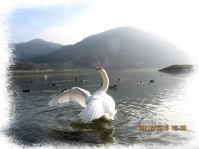20161210_Ein wenig entlang der Donau herum fahren.