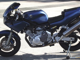 TRX850_3.JPG