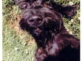 Micky