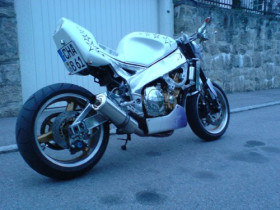 FZR2008.jpg