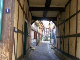 IMGP0870