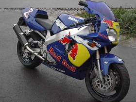 red bull